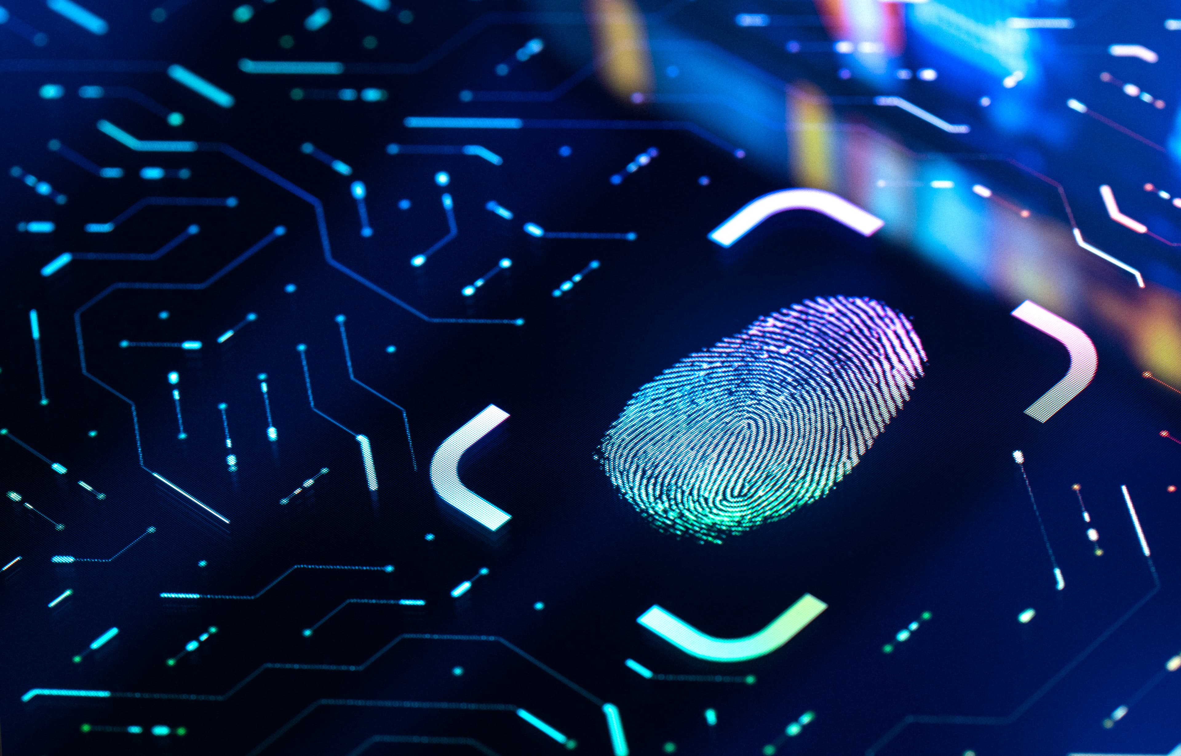 Digital Fingerprint