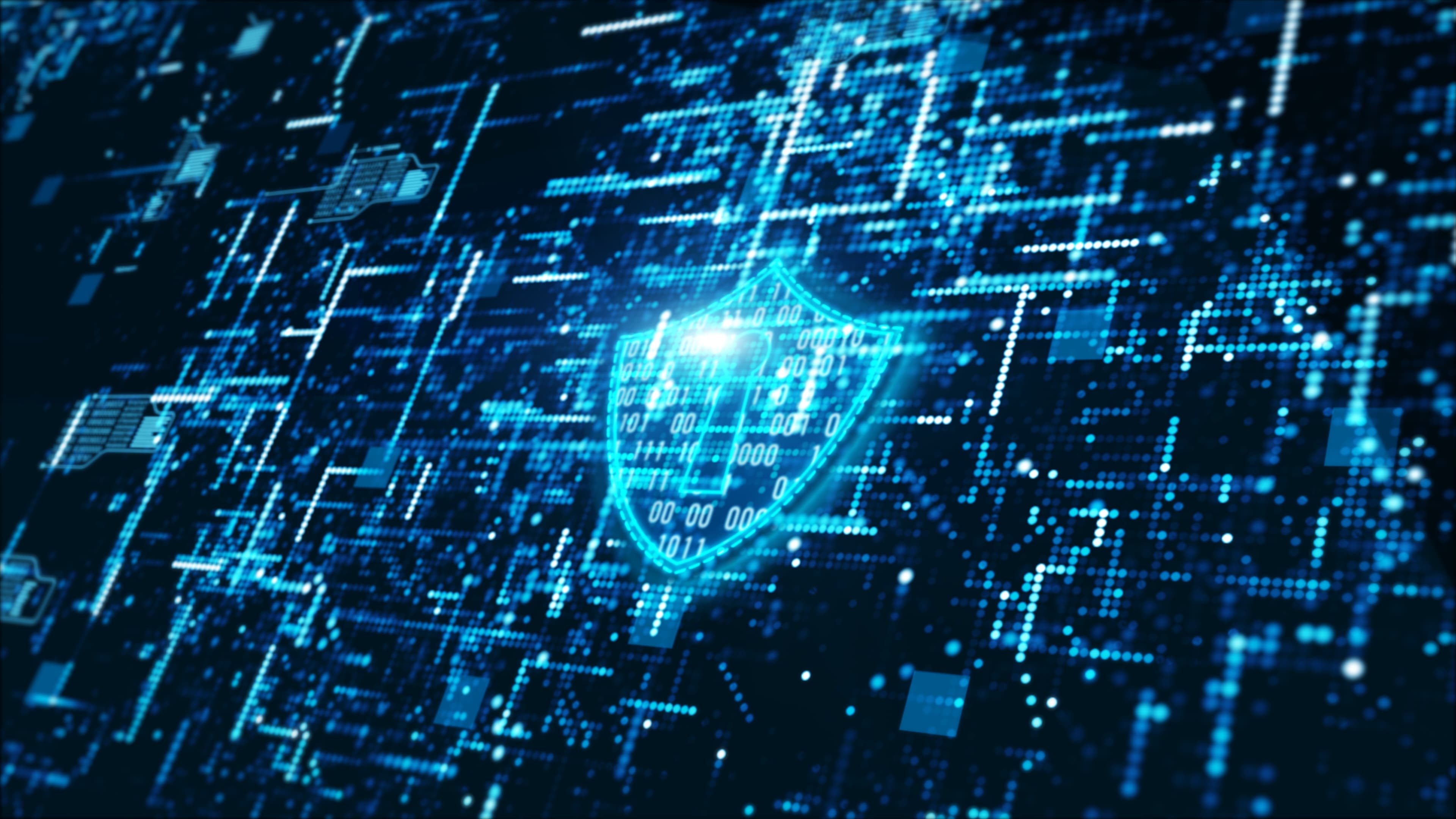 Digital Shield